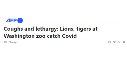 6 lions and 3 tiger COVID-19 tested positive in Washington Zoo: cough and sneeze.