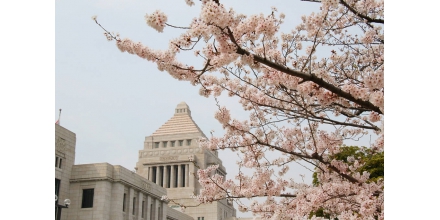 日本政府決定解散眾議院 選舉將于31日舉行