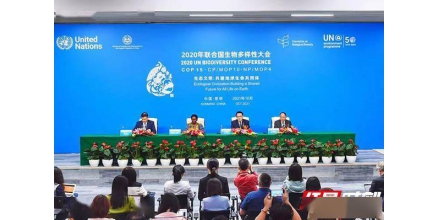 The first phase of COP15 high-level meeting ended in Kunming and achieved three major results