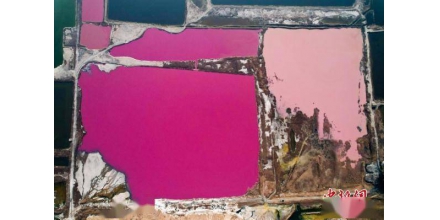 Yuncheng Millennium salt lake turns into 